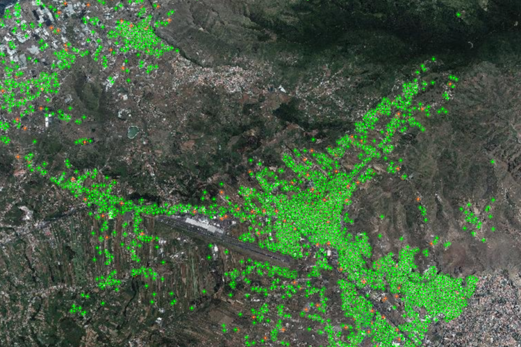 Expedientes urbanísticos de la Gerencia de Urbanismo de La Laguna